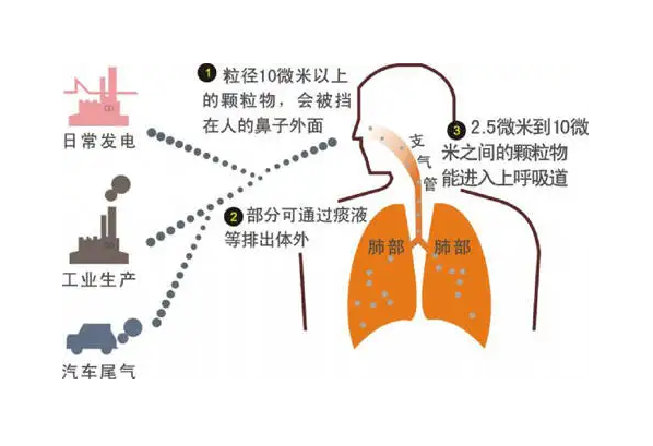 室内典型的污染物有哪些，又是怎么产生的呢？（1）