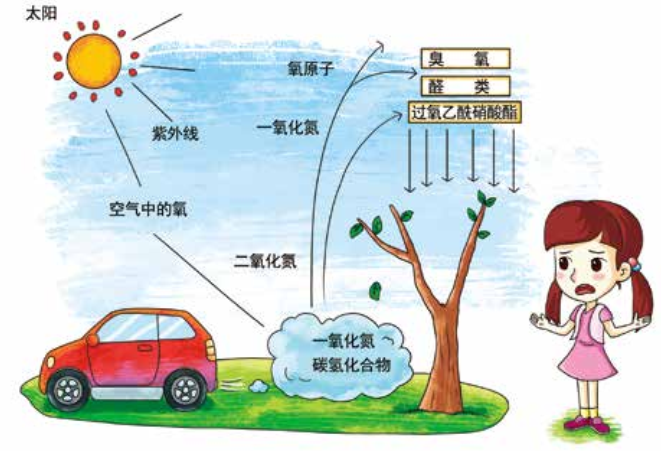 臭氧知识科普（2） | 臭氧跟光化学烟雾、PM2.5有什么关系？